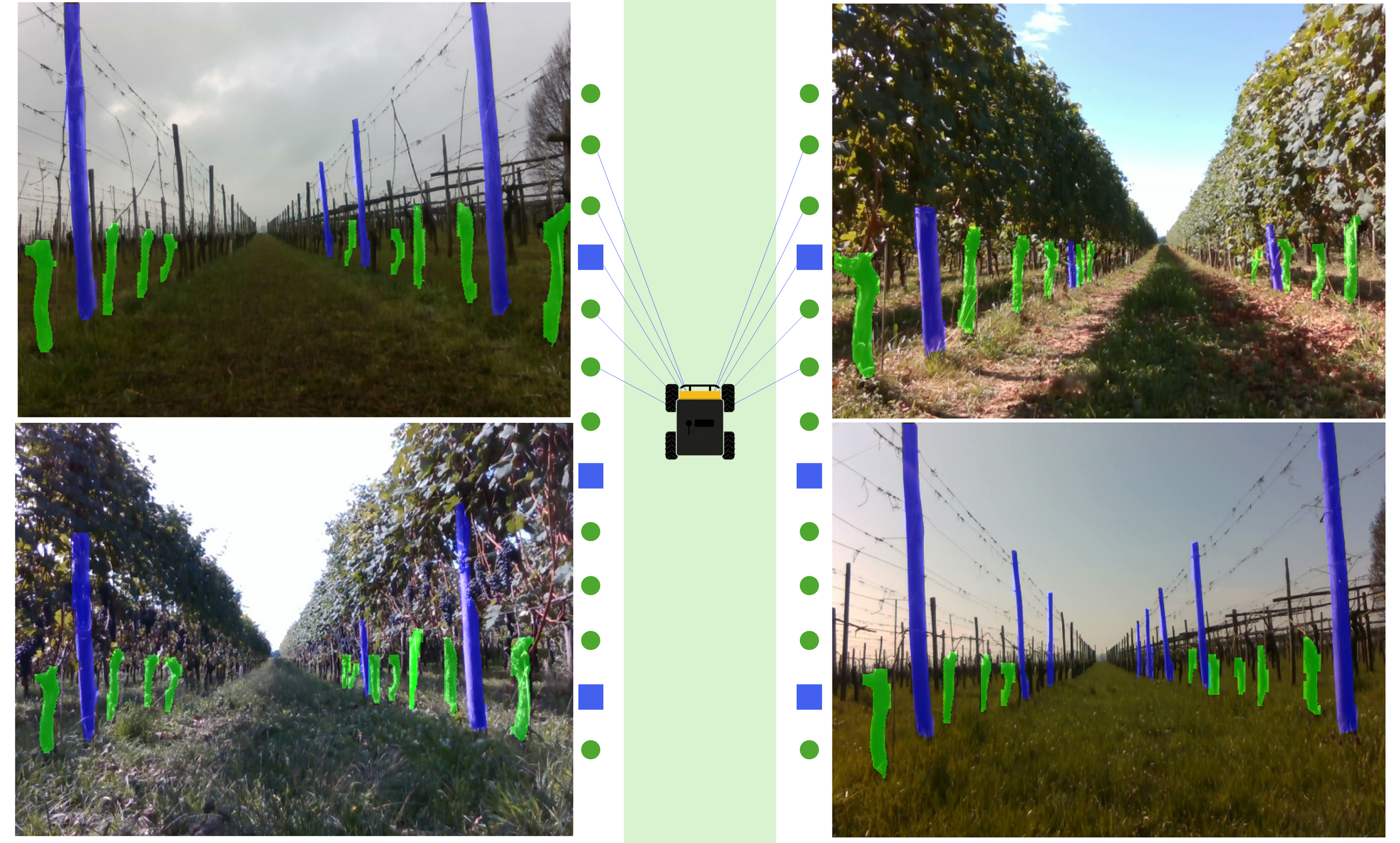 Autonomous rover navigating through a vineyard row with clear view of trunks and blue support poles